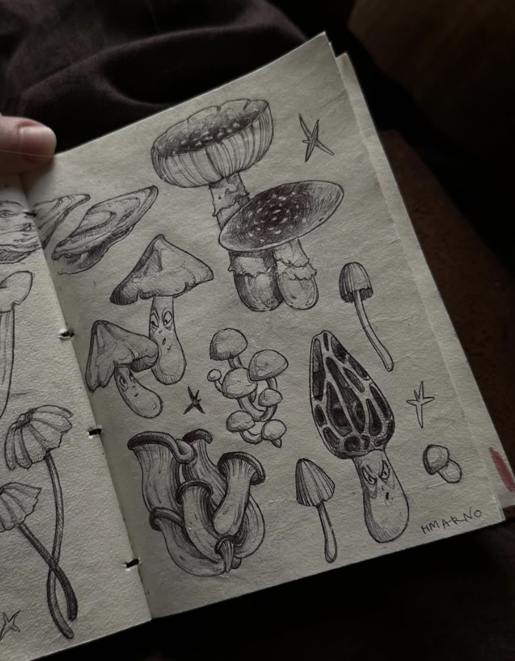 Original tattoo flash sheet — various mushroom designs, sketch style — tattoo design Barcelona